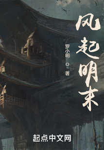 风起明末小说