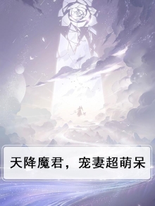 天降魔君,宠妻超萌呆