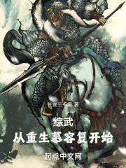 综武:从重生慕容复开始