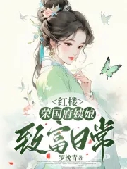 红楼:荣国府姨娘致富日常