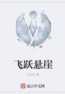 飞跃悬崖小说