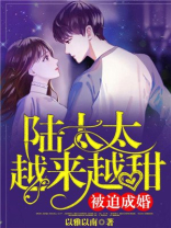 被迫成婚,陆太太越