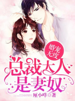 婚宠无度总裁大人是妻奴全文免费阅读